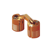 uae/images/productimages/euroart/door-hinge/concealed-hinge-matt.webp