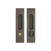 uae/images/productimages/euroart/flush-pull-handle/brass-flush-pulls-hlb170l.webp