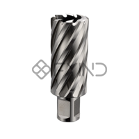 uae/images/productimages/euroboor/core-drill-bit/weldon-shank.webp