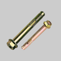 uae/images/productimages/fastener-world-fzco/sleeve-anchor/sleeve-anchor-nut-type.webp