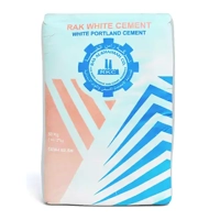 uae/images/productimages/fepy/cement/rak-cem-1-white-cement-50kg.webp