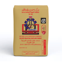 uae/images/productimages/fepy/cement/rak-src-sulfate-resistant-portland-cement-50kg.webp