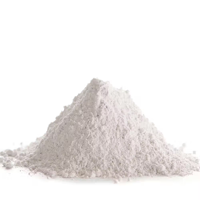 uae/images/productimages/fepy/gypsum/gypsum-powder-20kg.webp