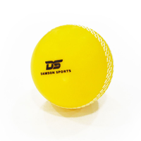 uae/images/productimages/fitness-power-house/cricket-ball/dawson-windball-5-210-soft-plastic.webp