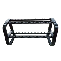 uae/images/productimages/fitness-power-house/dumbbells-rack/beast-fitness-bst-2t-dmbl-rak-2-tier-dumbbell-rack-6-pair.webp