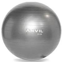 uae/images/productimages/fitness-power-house/exercise-ball/anvil-anti-burst-gym-ball-anv-gbl-pvc-gre-55cm-55-cm-900-g.webp