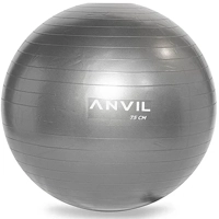 uae/images/productimages/fitness-power-house/exercise-ball/anvil-anti-burst-gym-ball-anv-gbl-pvc-gre-75cm-75-cm-1300-g.webp