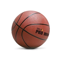 uae/images/productimages/fitness-power-house/exercise-ball/sklz-pro-mini-hoop-ball-hp04-ball-5-in.webp