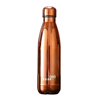 uae/images/productimages/fitness-power-house/water-bottle/beast-fitness-insulated-steel-bottle-bf-bt-brn-bronze-500-ml.webp