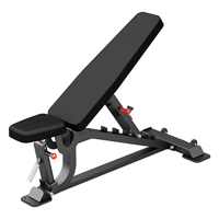 uae/images/productimages/fitness-power-house/weight-bench/insight-fitness-flat-incline-decline-bench-dh029-1517-mm-680-mm.webp