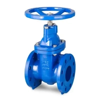 uae/images/productimages/fitting-world-trading-llc/gate-valve/gate-valve-21.webp