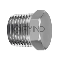uae/images/productimages/fitting-world-trading-llc/pipe-plug/stainless-steel-threaded-fitting-plug.webp
