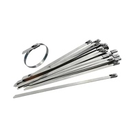 uae/images/productimages/floben-trading-llc/cable-tie/stainless-steel-cable-tie.webp