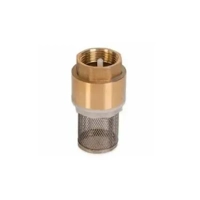 uae/images/productimages/floben-trading-llc/foot-valve/foot-brass-valve-with-net.webp