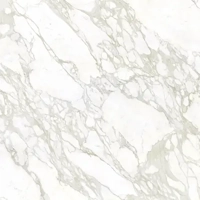 uae/images/productimages/floors-and-walls/marble-slab/sintered-stone-bulgari-white-mn076a.webp