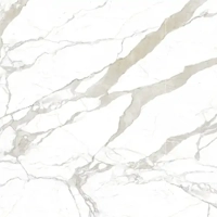 uae/images/productimages/floors-and-walls/marble-slab/sintered-stone-calacatta-white-mn012a.webp