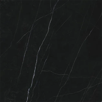 uae/images/productimages/floors-and-walls/marble-slab/sintered-stone-nero-margiua-mn741cp.webp