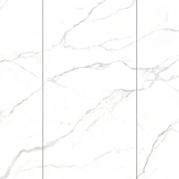 uae/images/productimages/floors-and-walls/marble-slab/sintered-stone-polaris-statuario-mn082a.webp