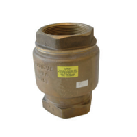 uae/images/productimages/flowline/check-valve/158b-back-pressure-check-valve.webp