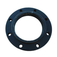 uae/images/productimages/flowline/slip-on-flange/244c-companion-flange.webp