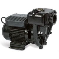 uae/images/productimages/flowline/transfer-pump/piusi-e300-pump.webp