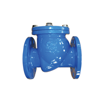 uae/images/productimages/fouress-equipments-trading-llc/check-valve/double-flanged-check-valve-fgv-655-dn50-dn800-300-micron.webp