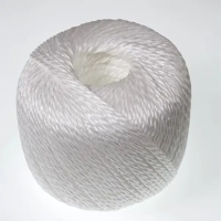 uae/images/productimages/fremont-ship-spare-parts-&-chandlers-llc/nylon-rope/twine-seizing-polypropylene-2-5kg-211421.webp