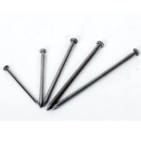 uae/images/productimages/fremont-ship-spare-parts-&-chandlers-llc/wire-nail/wire-nails-common-232763.webp