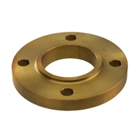 uae/images/productimages/geldbach-international-llc/slip-on-flange/hubbed-slip-on-flange.webp