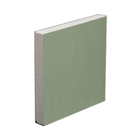 uae/images/productimages/gemini-building-materials/gypsum-board/gyproc-coreboard-19x598x3000-mm.webp