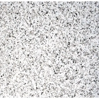 uae/images/productimages/glaze-granite-and-marble-trdg-est/granite/saudi-bianco.webp