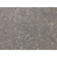 uae/images/productimages/glaze-granite-and-marble-trdg-est/limestone/cenia-grey.webp