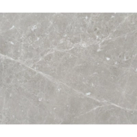 uae/images/productimages/glaze-granite-and-marble-trdg-est/marble/tundra-grey.webp