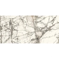 uae/images/productimages/glaze-granite-and-marble-trdg-est/porcelain-slab/ariostea-imperial-grey.webp