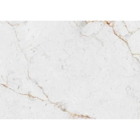uae/images/productimages/glaze-granite-and-marble-trdg-est/stone-slab/abu-dhabi-white.webp