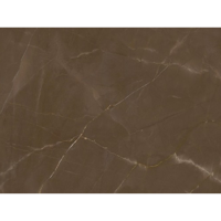 uae/images/productimages/glaze-granite-and-marble-trdg-est/stone-slab/pulpis.webp