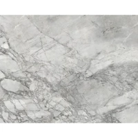 uae/images/productimages/glaze-granite-and-marble-trdg-est/stone-slab/super-white.webp