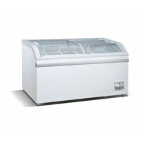 uae/images/productimages/golden-age-electronics-co-llc/domestic-chest-freezer/kf-500-ice-cream-freezer-brand-ferroli.webp