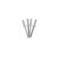 uae/images/productimages/golden-metal-trading-llc/blind-rivet/blind-rivets.webp
