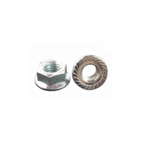 uae/images/productimages/golden-metal-trading-llc/flange-nut/flange-nuts.webp