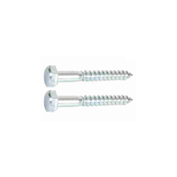 uae/images/productimages/golden-metal-trading-llc/lag-screw/lag-screws.webp