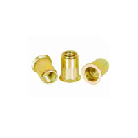 uae/images/productimages/golden-metal-trading-llc/rivet-nut/rivets-nuts.webp