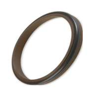 uae/images/productimages/golden-seal-asp-llc/hydraulic-seal/hydraulic-wiper-seal-profile-ghf-15-m-sec.webp