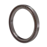 uae/images/productimages/golden-seal-asp-llc/roller-bearing/full-component-roller-bearing.webp