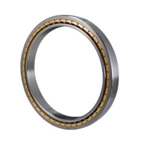 uae/images/productimages/golden-seal-asp-llc/roller-bearing/single-row-cylindrical-roller-bearing.webp