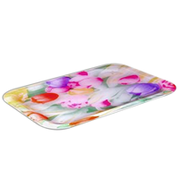 uae/images/productimages/golden-tools-trading-llc/domestic-tray/namson-acrylic-serving-tray-na-113s.webp