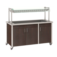 uae/images/productimages/grand-aluminium-accessories-trading/buffet-server/pro-hot-mobile-buffet-cpsb3h.webp