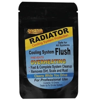 uae/images/productimages/green-option-general-trading/radiator-cleaner/dyno-tab-cooling-system-flush-55461-12-l.webp
