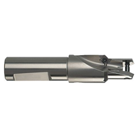 uae/images/productimages/guehring-middle-east-fze/bit-holder/tool-holders-for-interchangeable-inserts-ht-800-4105.webp