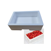 uae/images/productimages/gulf-center-for-cleaning-equipment/foam-container/dates-box-2-kg-3-l.webp